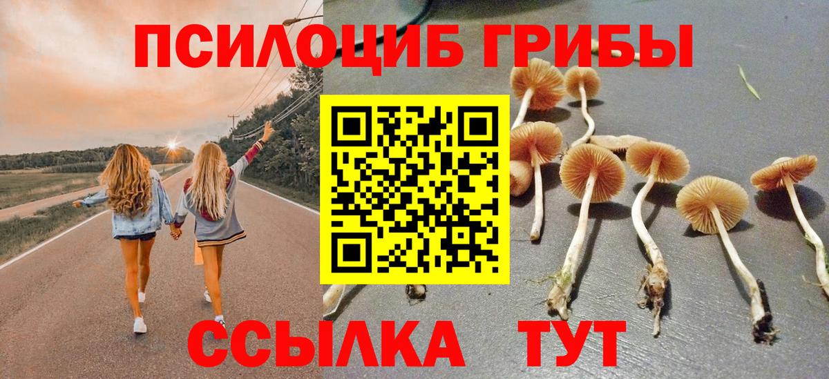 Галлюциногенные грибы MAGIC MUSHROOMS Видное