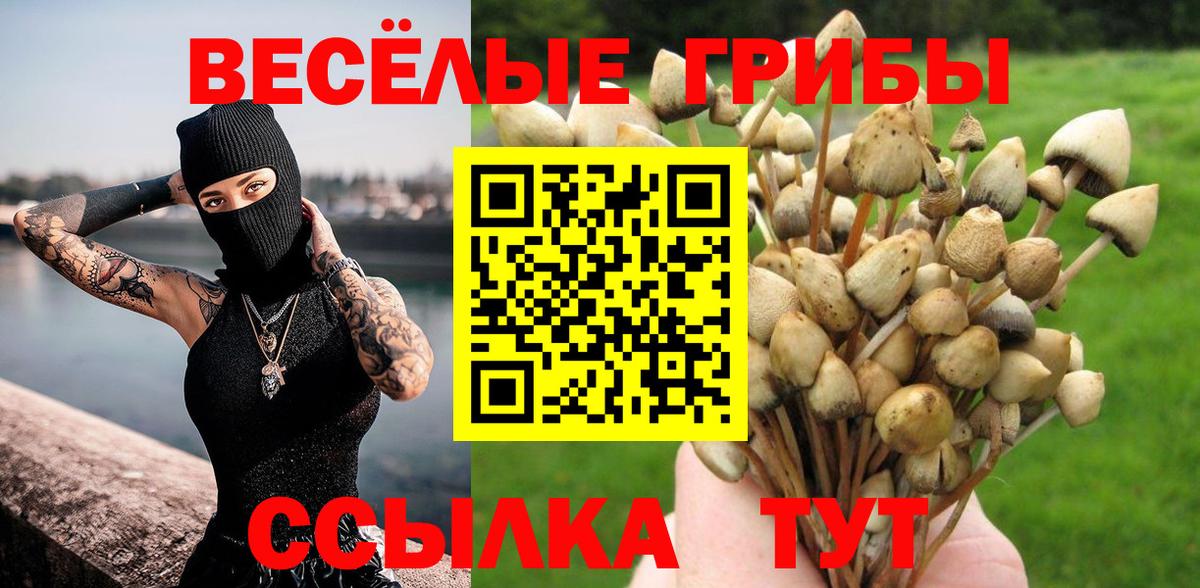 Псилоцибиновые грибы мицелий  Вход с VPN  Видное 